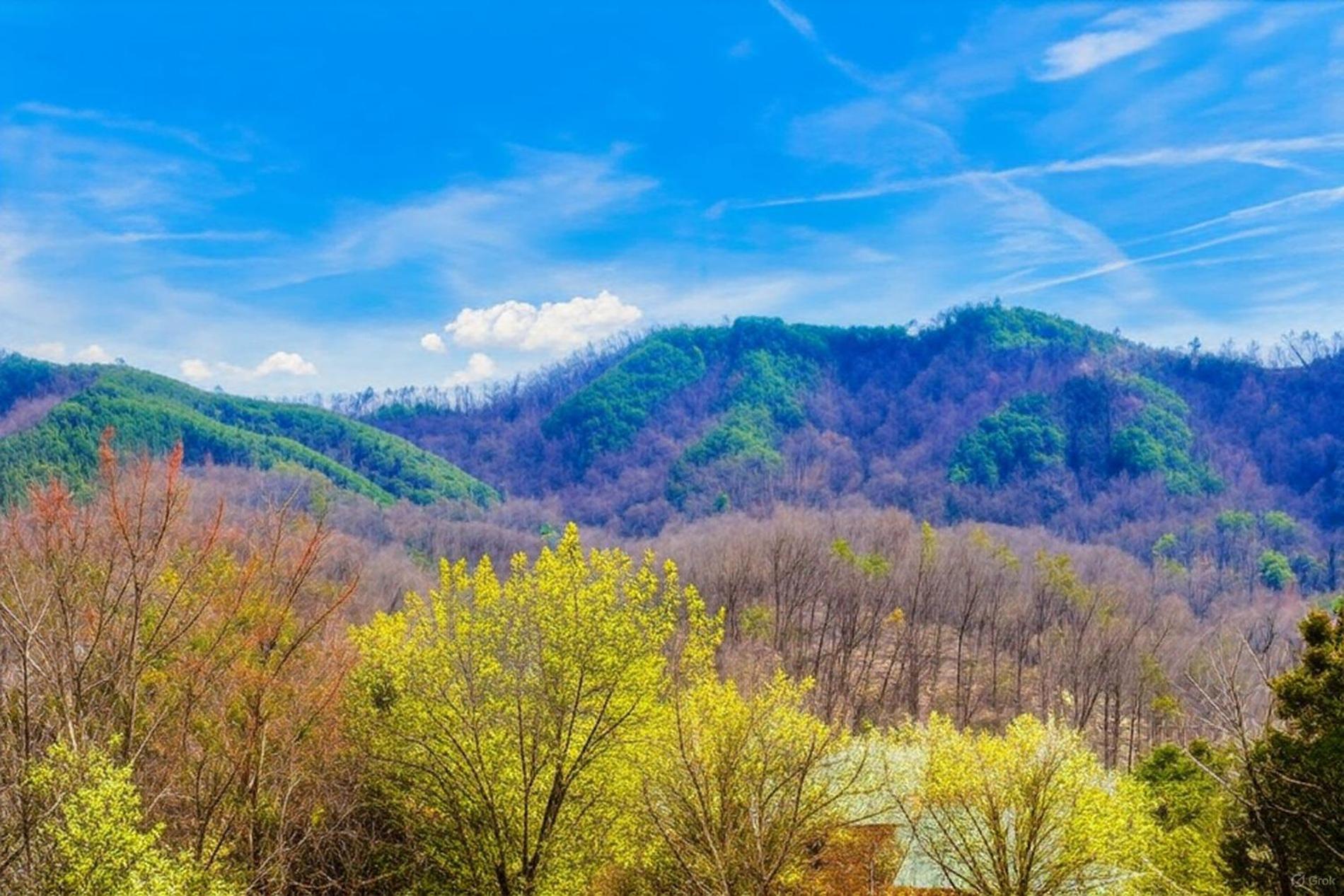 Smoky Bear Lodge With Guest House, Hot Tub, 1089 Free Tickets Each Paid Day, Dollywood And More Sevierville Exterior foto