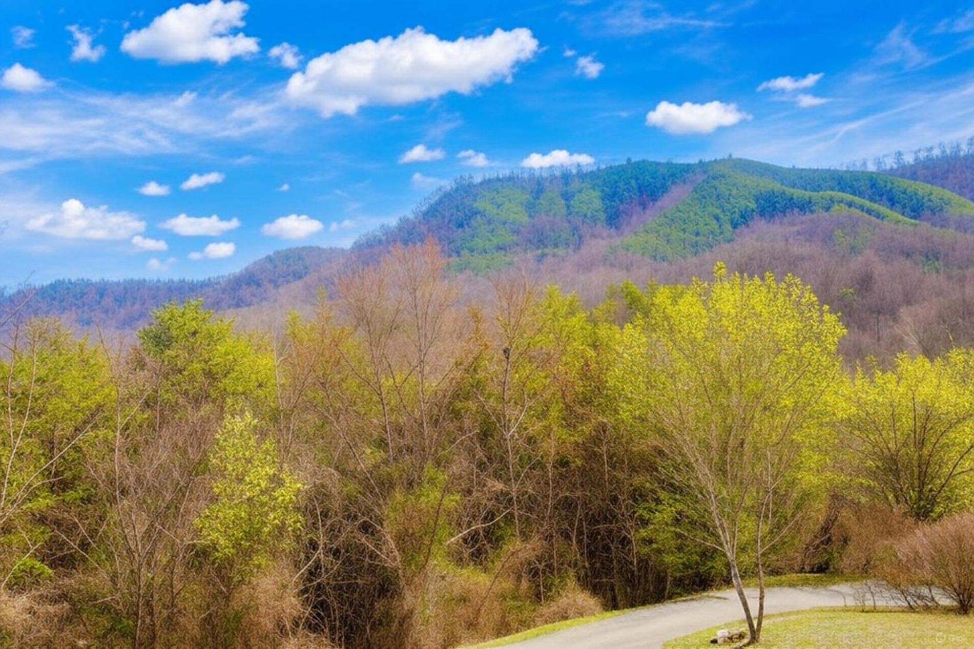 Smoky Bear Lodge With Guest House, Hot Tub, 1089 Free Tickets Each Paid Day, Dollywood And More Sevierville Exterior foto